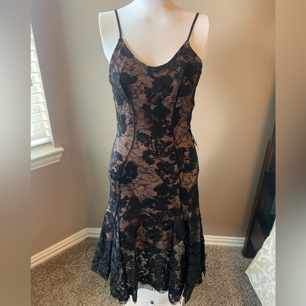 Dress the Population black lace dress